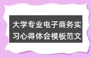 心得体会电子商务专业