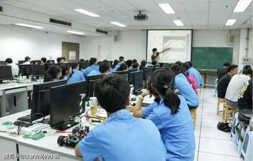 高新电子商务专业就业率