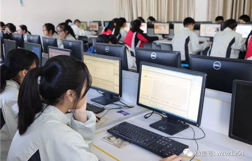 电子商务专业二级考试