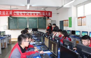 金山区电子商务专业服务