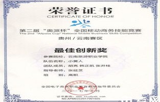 山职招电子商务专业么