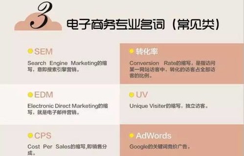 单招电子商务专业常识题