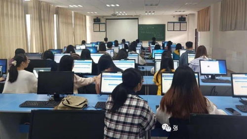 大学生电子商务专业实习