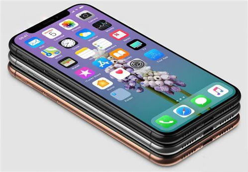 iPhone19，迈向真全面屏时代