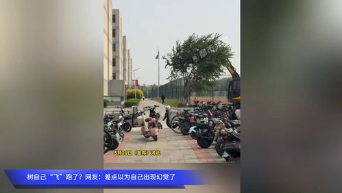 王健林再卖48座万达广场背后