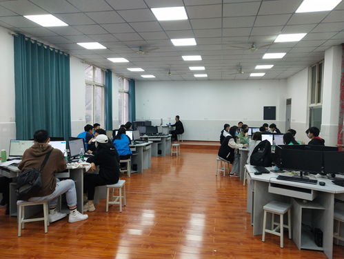 职高可以选电子商务专业吗
