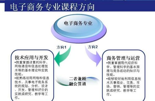 电子商务专业考研考博方向