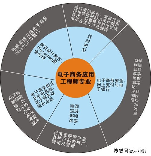 电子商务师的专业方向