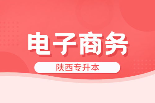 电子商务属于啥大类专业