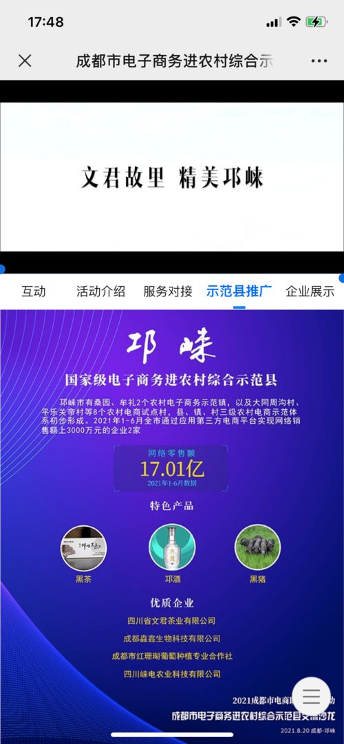 转专业电子商务基本内容
