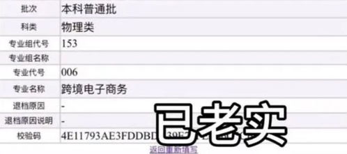电子商务是调剂的专业吗