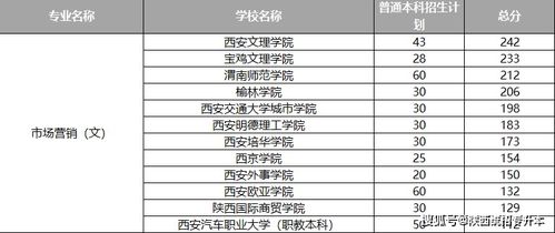 电子商务本科可选专业有