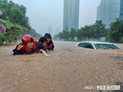 道路积水2米深 男子爬树求生