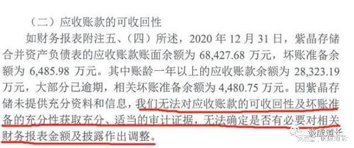 宇树王兴兴的独特视角，为高考生提供报考建议的火红指南