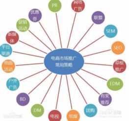 电子商务与市场营销专业