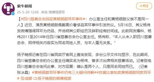黄杨钿甜天价耳环事件最新通报